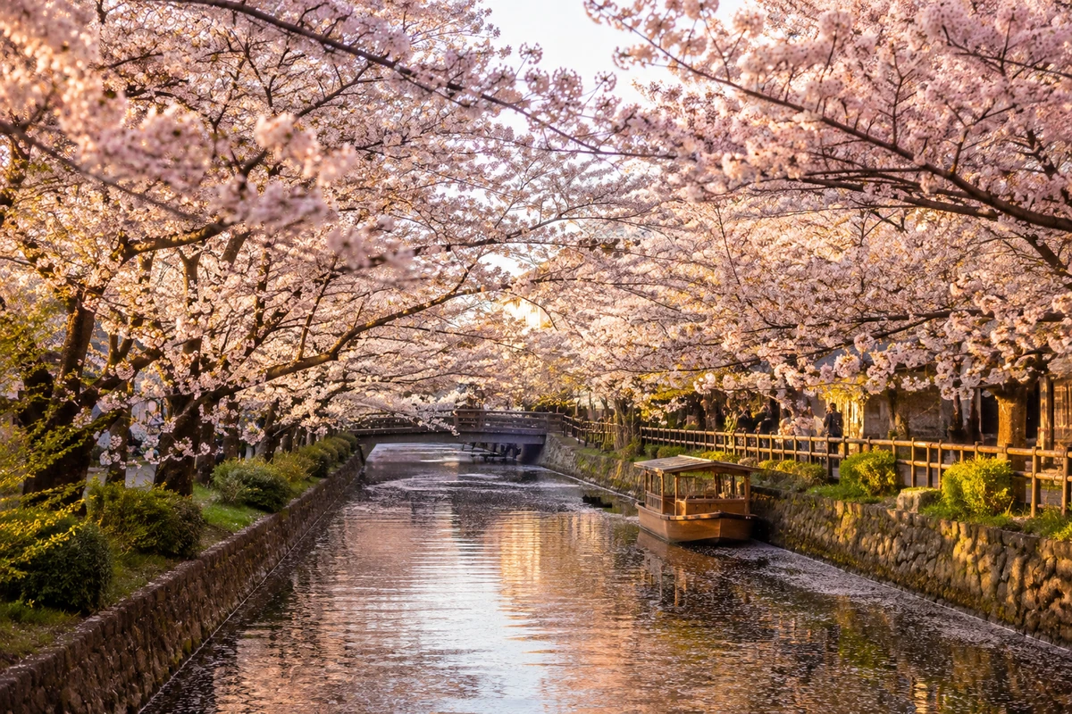 Imagen temática sobre ¿Qué es el hanami y por qué se celebra en Japón?